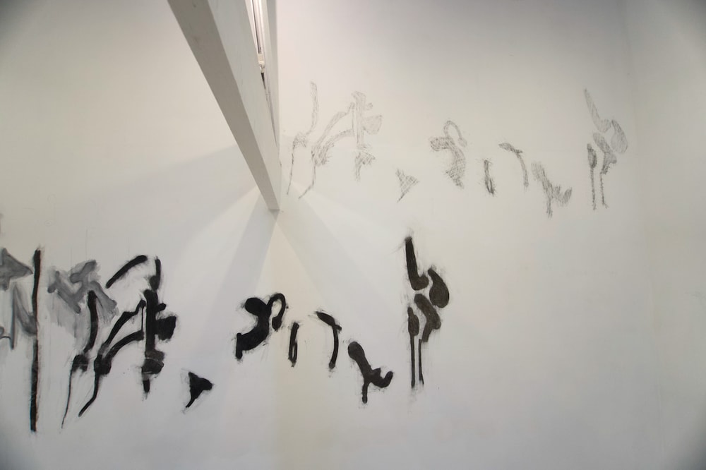 Murray and Burgess, Lost Song 2022 (detail), charcoal and graphite drawing on wall.